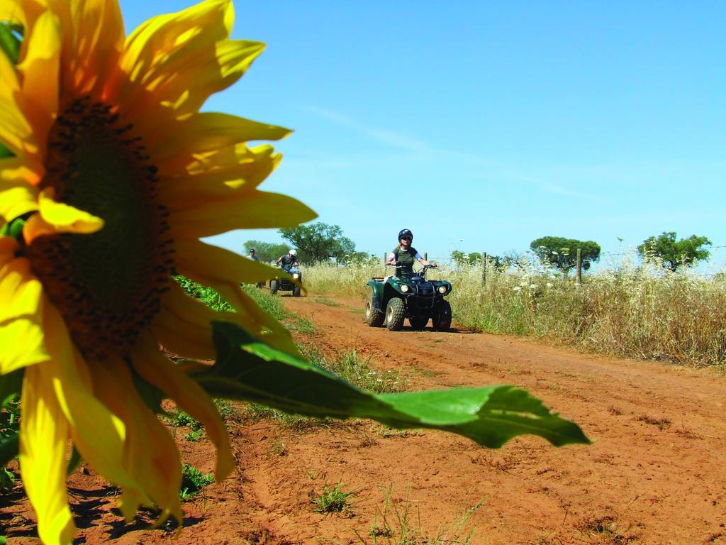 Vila Gale Alentejo Vineyard - Clube De Campo Albernoa Dış mekan fotoğraf