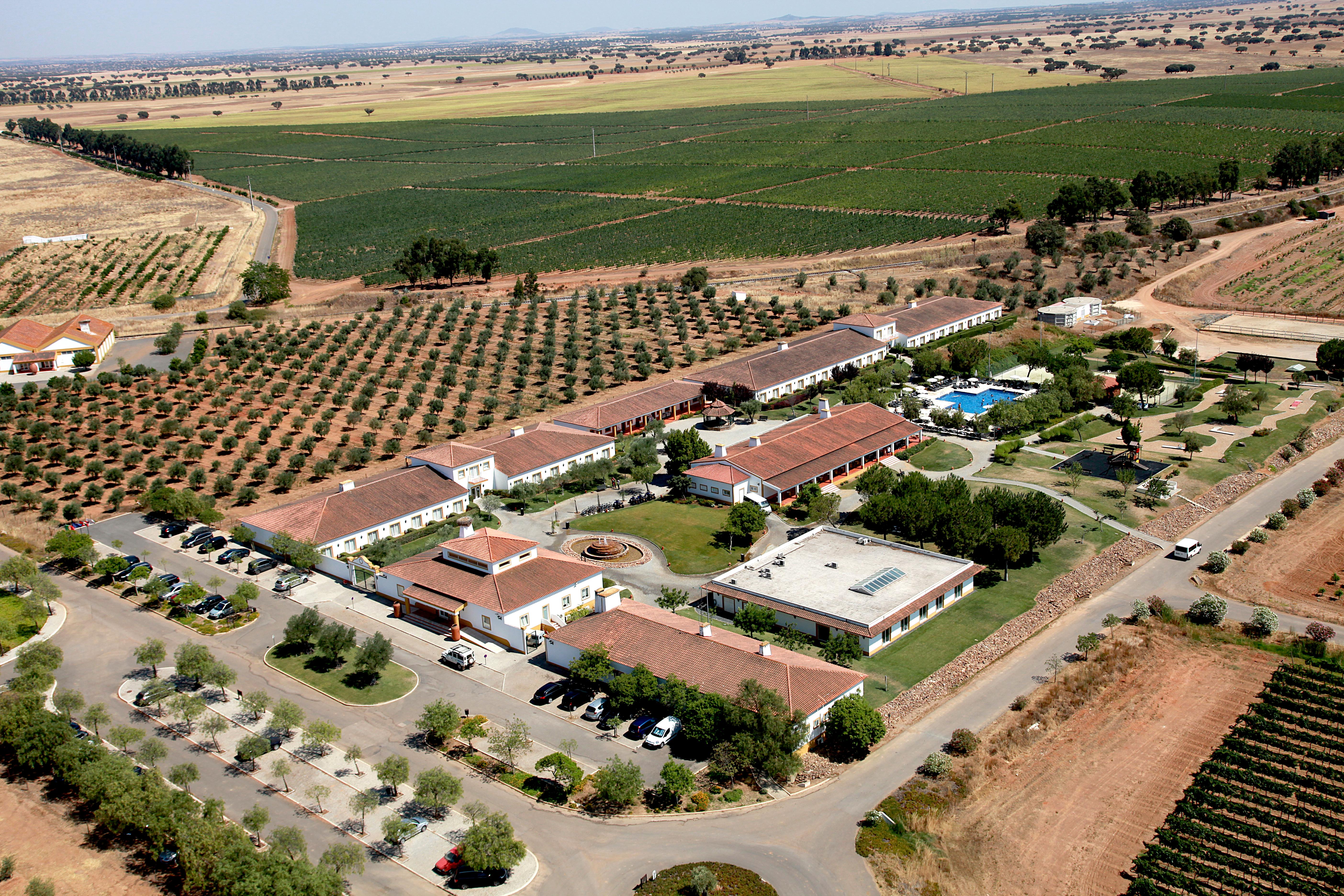 Vila Gale Alentejo Vineyard - Clube De Campo Albernoa Dış mekan fotoğraf