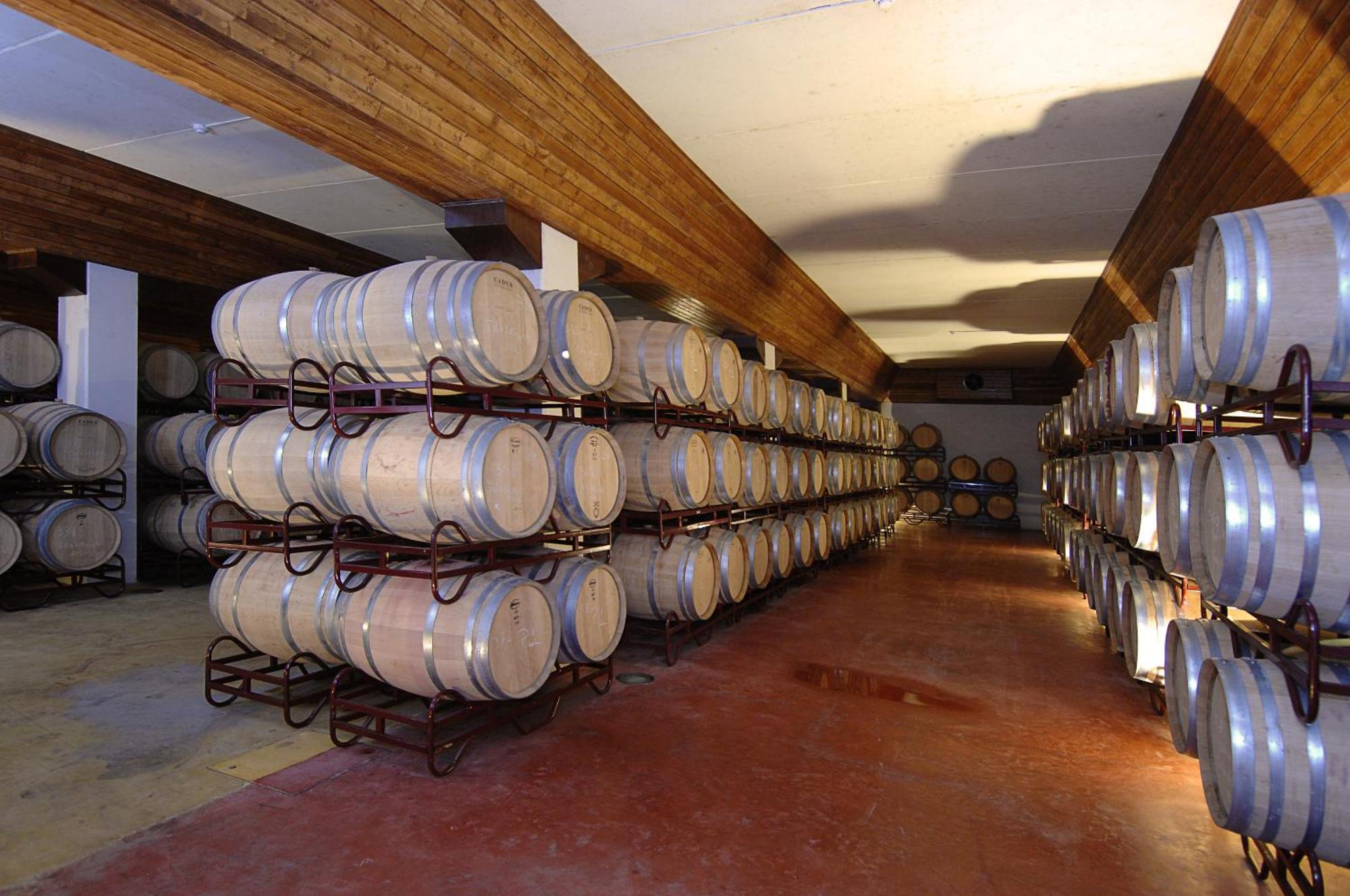 Vila Gale Alentejo Vineyard - Clube De Campo Albernoa Dış mekan fotoğraf
