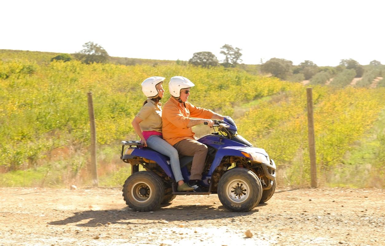 Vila Gale Alentejo Vineyard - Clube De Campo Albernoa Dış mekan fotoğraf