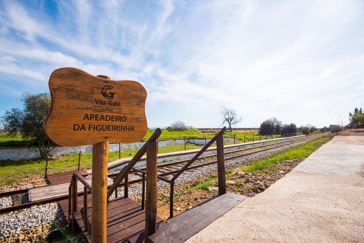 Vila Gale Alentejo Vineyard - Clube De Campo Albernoa Dış mekan fotoğraf