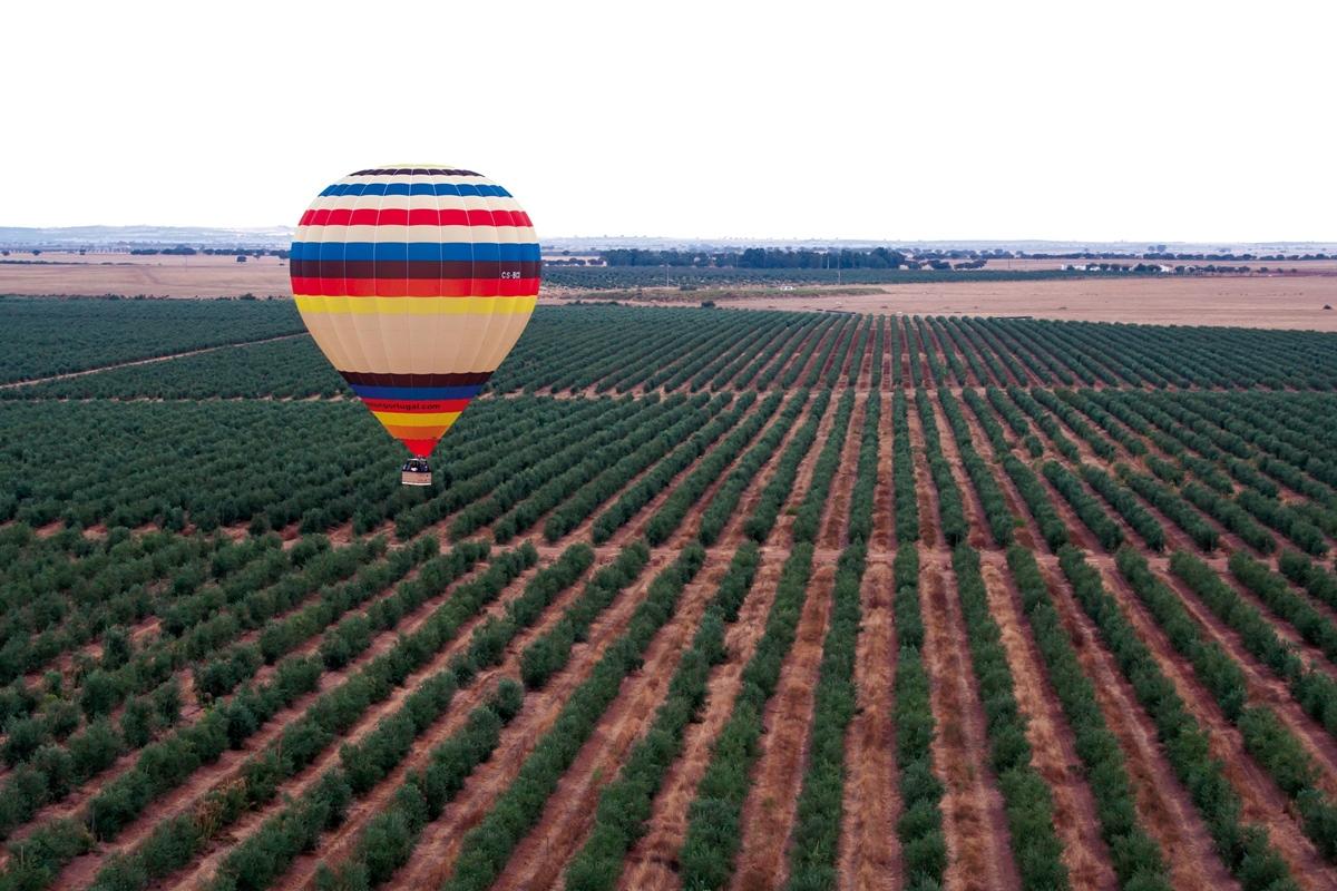 Vila Gale Alentejo Vineyard - Clube De Campo Albernoa Dış mekan fotoğraf