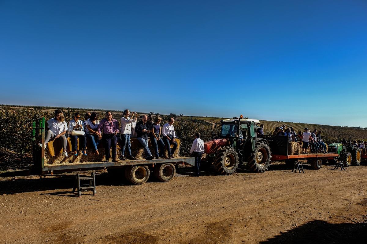 Vila Gale Alentejo Vineyard - Clube De Campo Albernoa Dış mekan fotoğraf