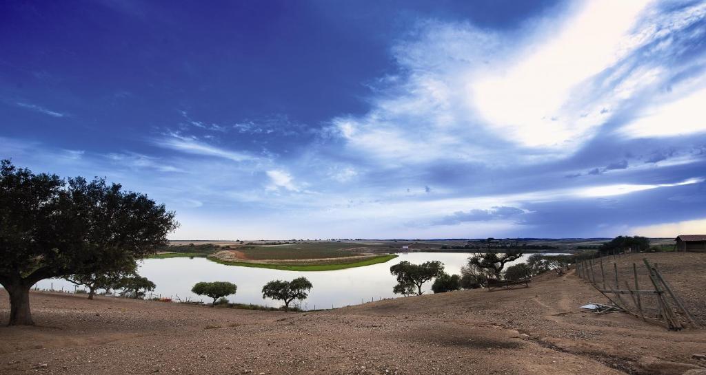 Vila Gale Alentejo Vineyard - Clube De Campo Albernoa Dış mekan fotoğraf