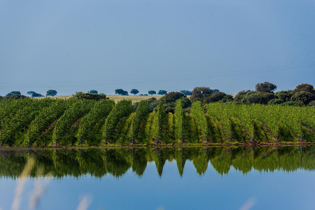 Vila Gale Alentejo Vineyard - Clube De Campo Albernoa Dış mekan fotoğraf