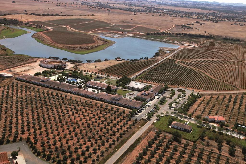 Vila Gale Alentejo Vineyard - Clube De Campo Albernoa Dış mekan fotoğraf
